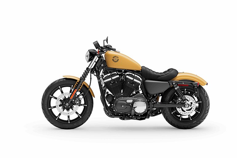 sportster 883