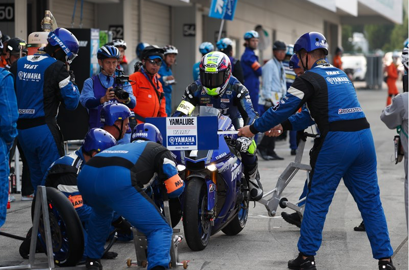 loris baz