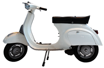 ordinanza anti vespa