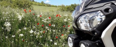 val trebbia